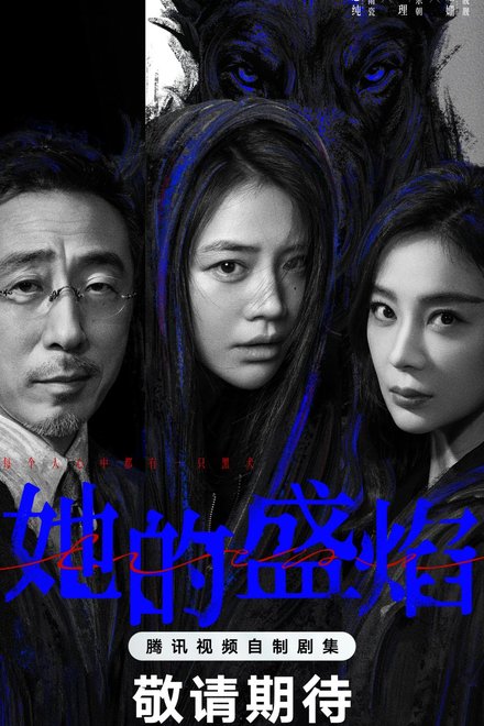Poster of Her Blaze (Chinese Drama 2026)