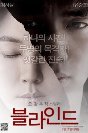 Poster for Blind (2011)