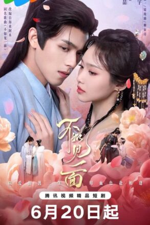 Poster for Endless Love Chinese Drama (2026)