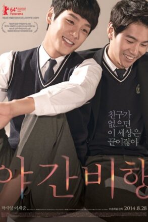 Poster for Night Flight (2014)