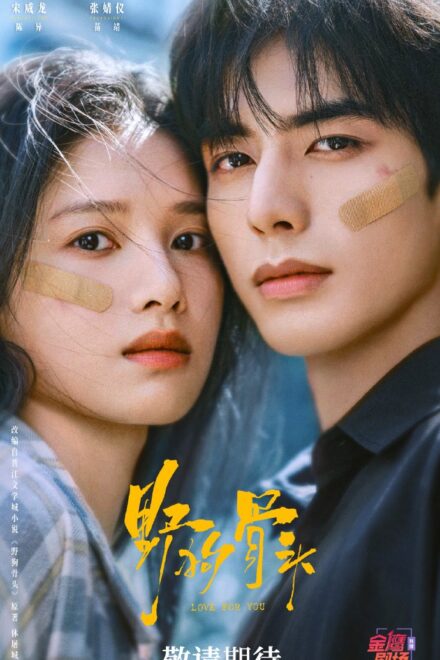 Poster of Love for You (2026)