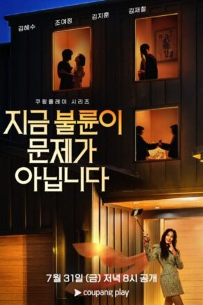 Poster for The Affair Was Just the Beginning (2026)