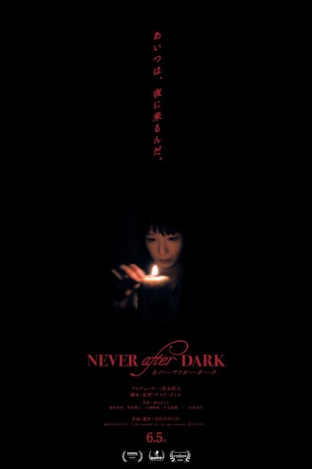 Poster of Never after Dark (2026)