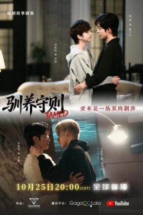 Poster for Tamed BL Series (2026)