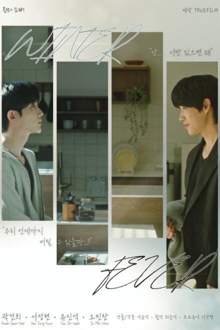 Poster of Winter Fever (2026)